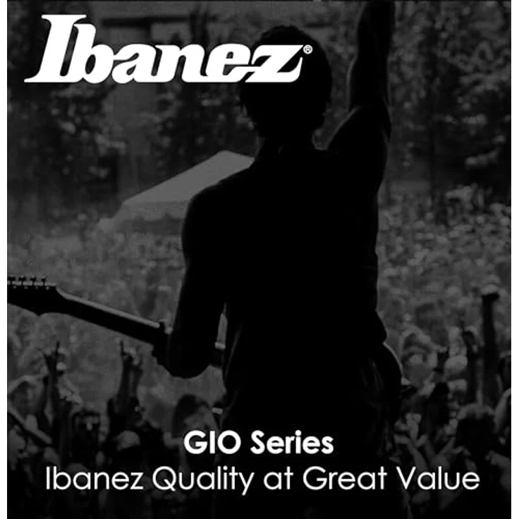 Ibanez Gio GRG131DX-BKF E-Gitarre mit ausgewogener Verarbeitung, Farbe Black Flat – Bild 8