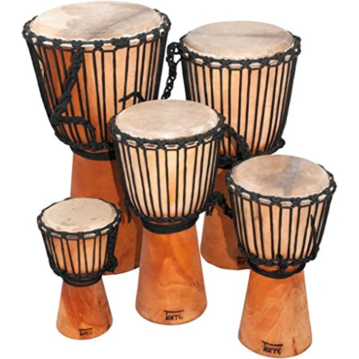 Terré Terre Djembe geölt 60 cm, Mahagoni mit Ziegenhaut und Nylonschnüren – Bild 2