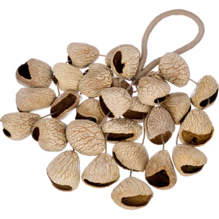 Thomann Seed Shaker Pangi, Percussioninstrument aus 30 Panginussschalen mit erdigem Sound