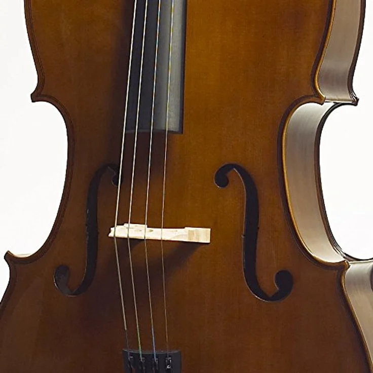 Stentor SR1108 Cello Student II 3/4, Einsteigermodell mit massiver Fichtendecke, Ahornkorpus und Ebenholzgriffbrett, inklusive Tasche und Bogen – Bild 5