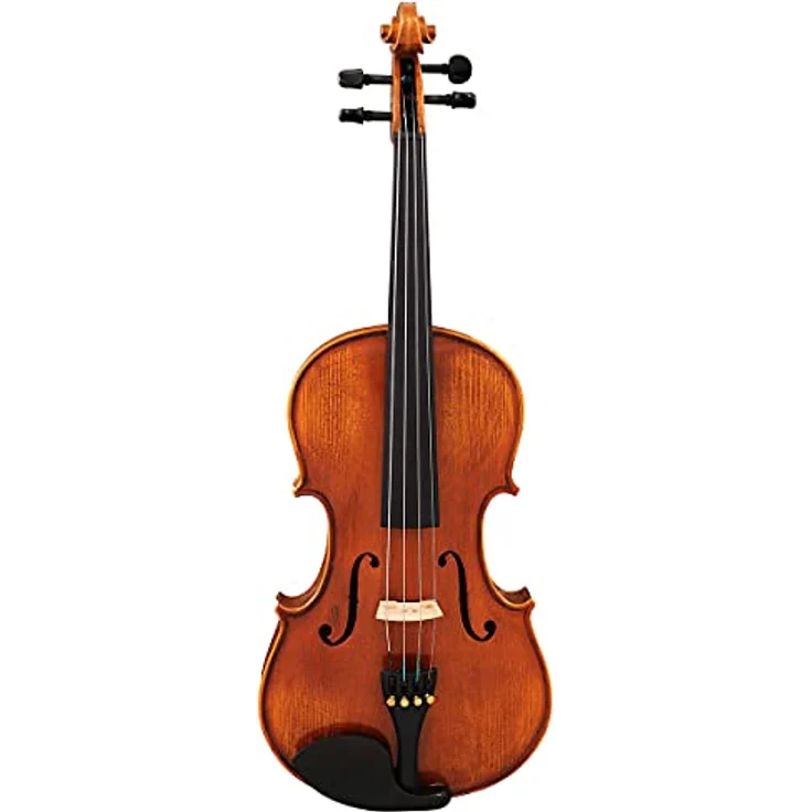 Hidersine Vivente Viola Set 13", massive Fichtendecke, gewölbter Ahornboden, Ebenholzgriffbrett, inkl. Bogen und Etui – Bild 2