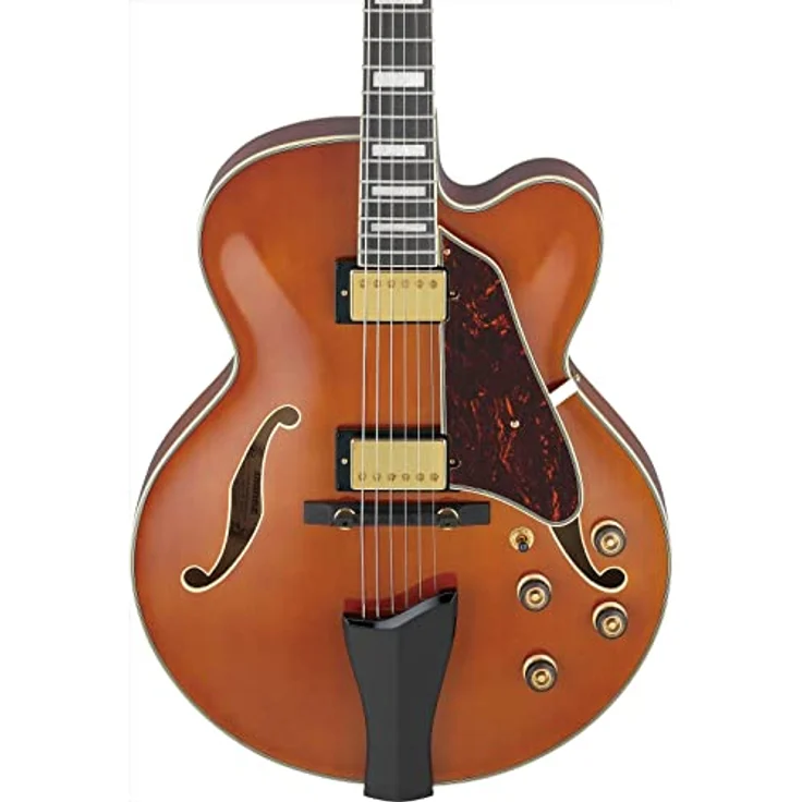 Ibanez Artcore Expressionist AF95-DA, Halbakustik Gitarre im Divine Amber Finish mit Hollow-Body Design – Bild 2