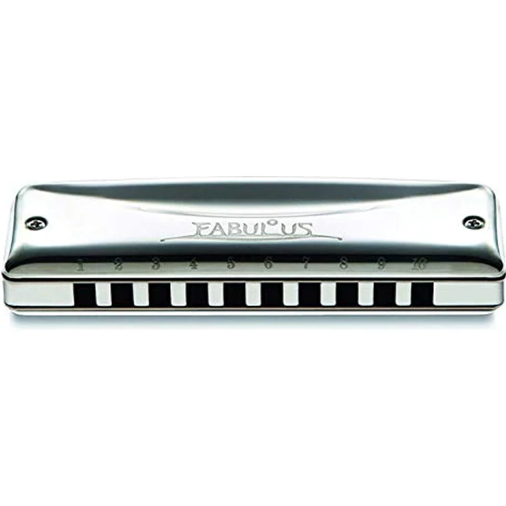 Suzuki F-20J Fabulous Diatonic, Mundharmonika in D-Stimmung, 10 Kanzellen, Messing versilbert, inkl. Etui – Bild 1