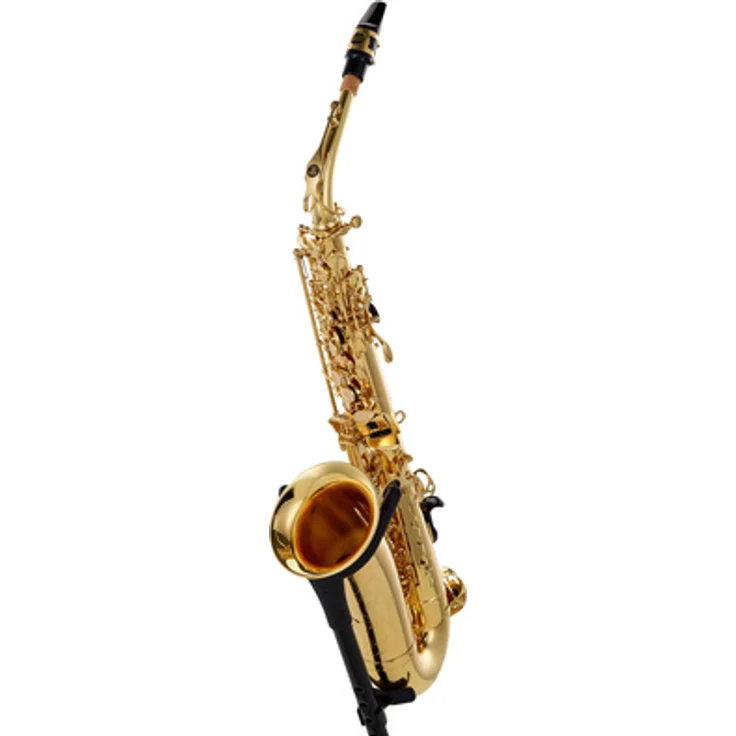 Buffet Crampon Prodige Alto Sax, Altsaxophon aus Messing mit Goldlack, leicht und robust, inkl. Rucksackkoffer und ergonomischem Tragegurt