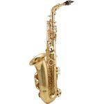 Yanagisawa A-WO10 Elite Alto Sax, Altsaxophon mit überarbeiteter Mechanik und neuer Messinglegierung, Goldlack