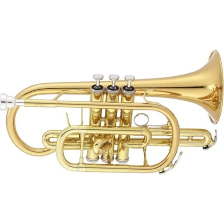 Jupiter JCR700RQ Bb-Cornet, 11,68 mm Bohrung, Goldmessing Schallbecher, Edelstahl Ventile, inkl. Mundstück und Koffer