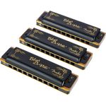 Fender Blues Deville 3-Pack, Mundharmonikas mit Kunststoff Kanzellenkorpus und Messingstimmplatten, C, G und A, Schwarz-Gold mit Kunststoffcase