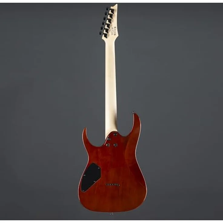 Ibanez Gio GRGR221PA-AQB E-Gitarre, Aqua Burst Finish, ausgewogene Verarbeitung und Materialien – Bild 4