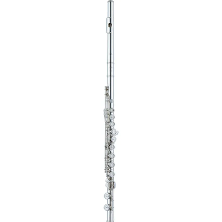 Altus AS-A9 EO-S Flute, Querflöte mit geschlossenen Klappen, Sterlingsilber Mundloch, C-Fuß, inkl. Etui und Tasche