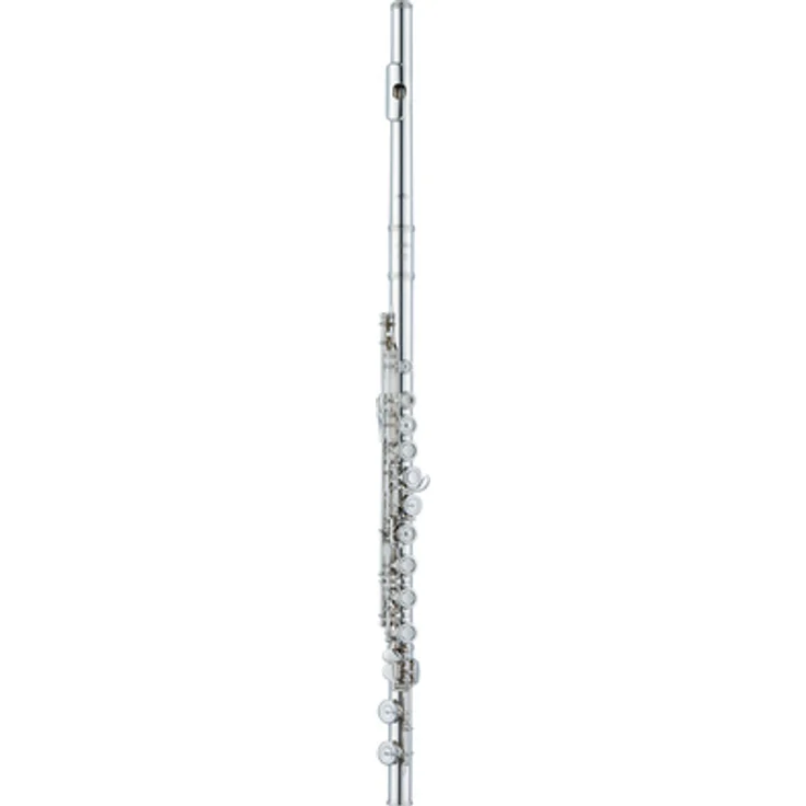 Altus AS-A9 EO-S Flute, Querflöte mit geschlossenen Klappen, Sterlingsilber Mundloch, C-Fuß, inkl. Etui und Tasche
