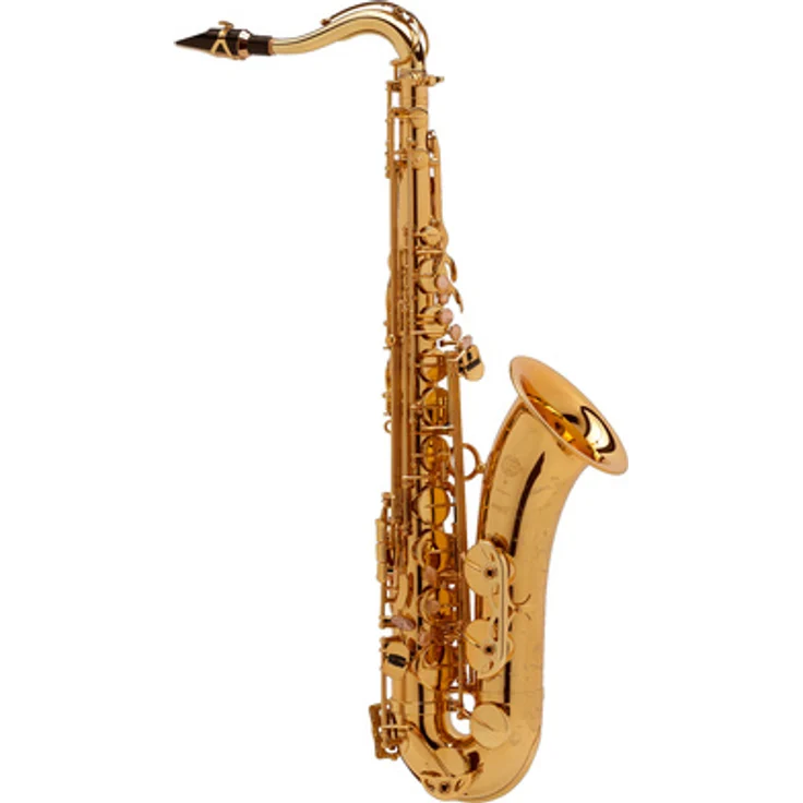 Selmer Tenor Serie III SE-T3G, Tenorsaxophon mit 18K vergoldetem Korpus und handgearbeiteter Gravur, inkl. Selmer S80 C* Mundstück und Lightcase