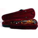 Höfner Alfred Stingl AS-160E-V E-Violinset 4/4, elektrische Geige mit regelbarem Tonabnehmer und Kopfhöreranschluss, gold-braun