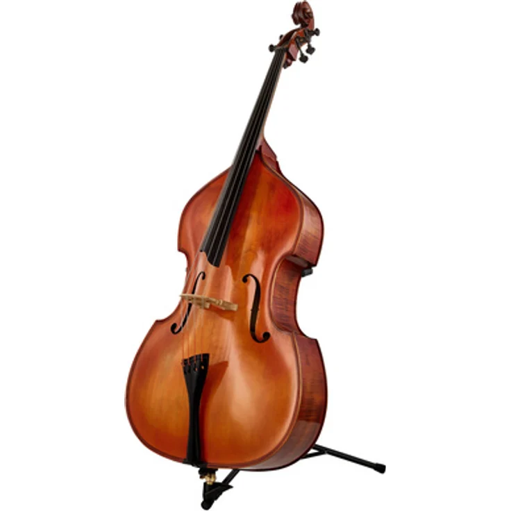 Meister Rubner Solo Double Bass Scroll Head, vollmassives Soloinstrument, Fichtendecke, Ahornboden, Ebenholzgriffbrett, bernsteinfarbene-seidenmatte Spiritus-Handlackierung