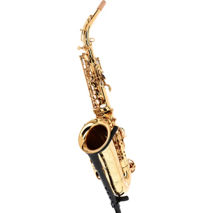 Forestone GX Gold Lacquered Alto Sax, Altsaxophon in Eb mit ergonomischem Design und handgraviertem Schallbecher, inkl. Protec Koffer