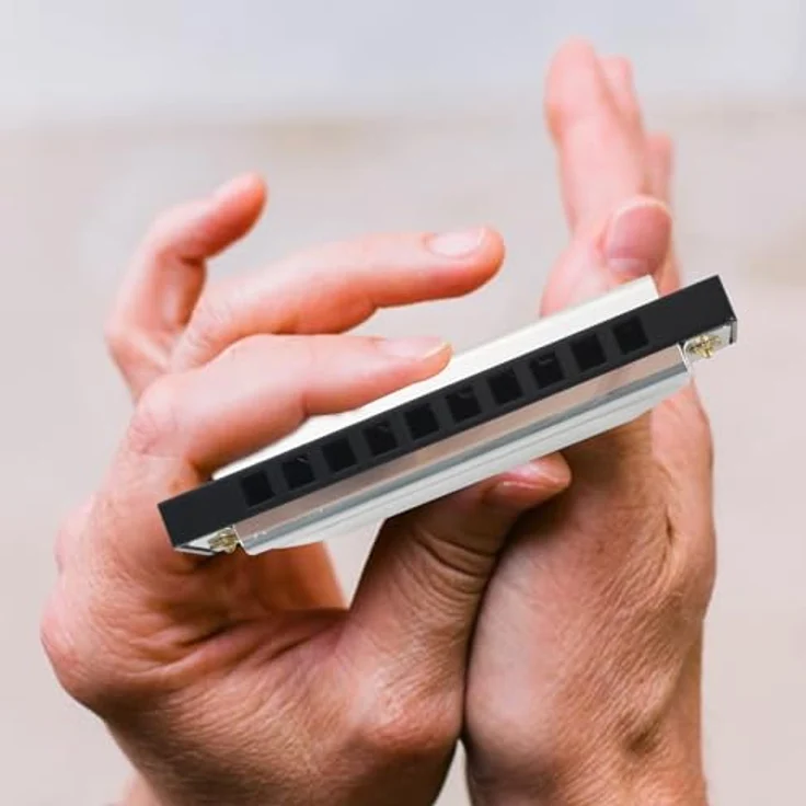 Colexy Mundharmonika 10 Loch C-Dur, diatonische Blues Mundharmonika mit hervorragendem Klang, inkl. Etui, für Anfänger und Profis (Silber) – Bild 4