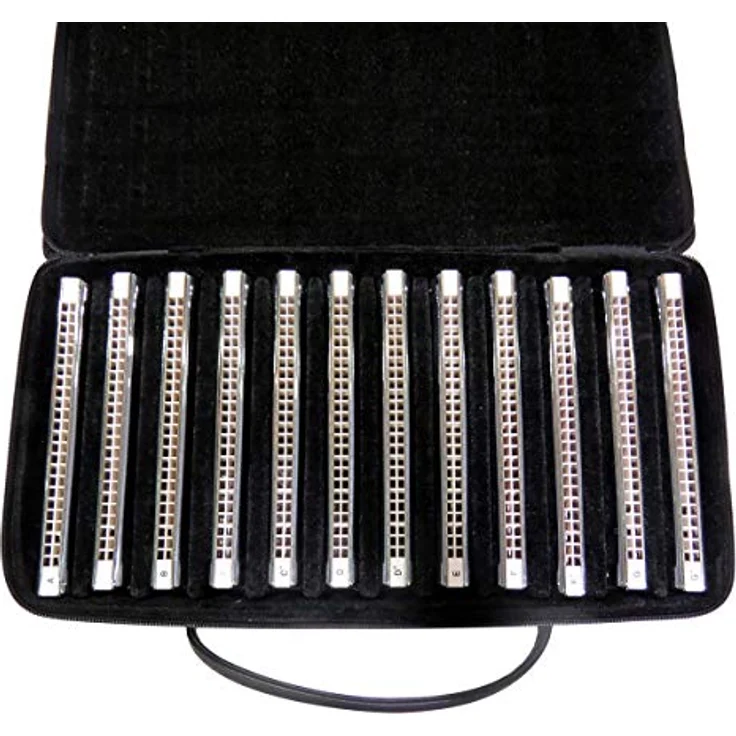 East Top T2406S Mundharmonika 12er Set, 24-Loch Tremolo mit Phosphorbronze Schilf für professionelle Spieler und Anfänger, ideales Geschenk – Bild 2