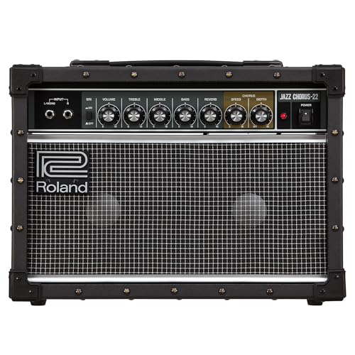 Roland JC-22, E-Gitarren-Combo mit 30-Watt Stereo-Verstärker, Chorus und Reverb Effekten, kompakt