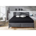 Primera Spannbettlaken Elasthan-Feinjersey, Jersey-Elasthan, Gummizug: rundum, (1 Stück), PREMIUM, aus 95% gekämmter Baumwolle und 5% Elasthan, bis 28 cm Höhe