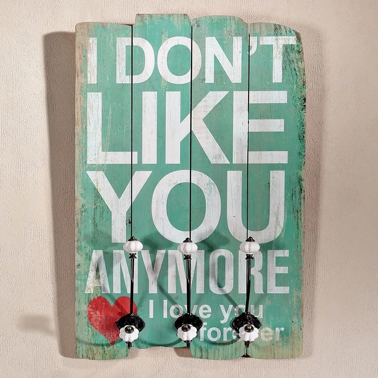 Wandgarderobe 40x60cm I Don't Like You 3 Kleiderhaken Flurpaneel Holz Dekoration – Bild 1