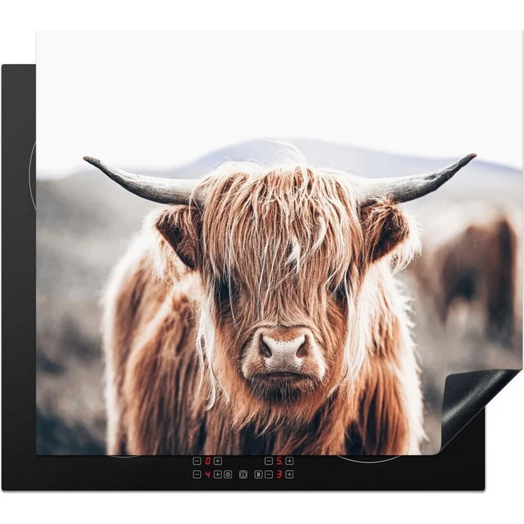 MuchoWow Herd-Abdeckplatte Schottischer Highlander - Berg - Hoorn, Vinyl, (1 tlg), Ceranfeldabdeckung Küche, Herdabdeckplatte Einteilig, 59x51 cm – Bild 1