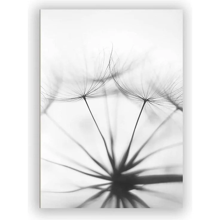 Poster Set 3teilig Blume Löwenzahn Feder Schwarz Weiß B 30x40cm – Bild 5