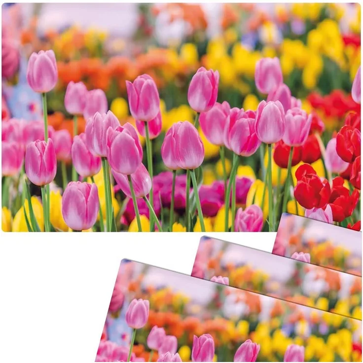 matches21 HOME & HOBBY Platzset Abwaschbare Tischsets 4er Set Sommer Tulpen Blumen pink, (4-St), Platzsets als Tisch-Untersetzer und Tisch-Deko für Esstisch Teller