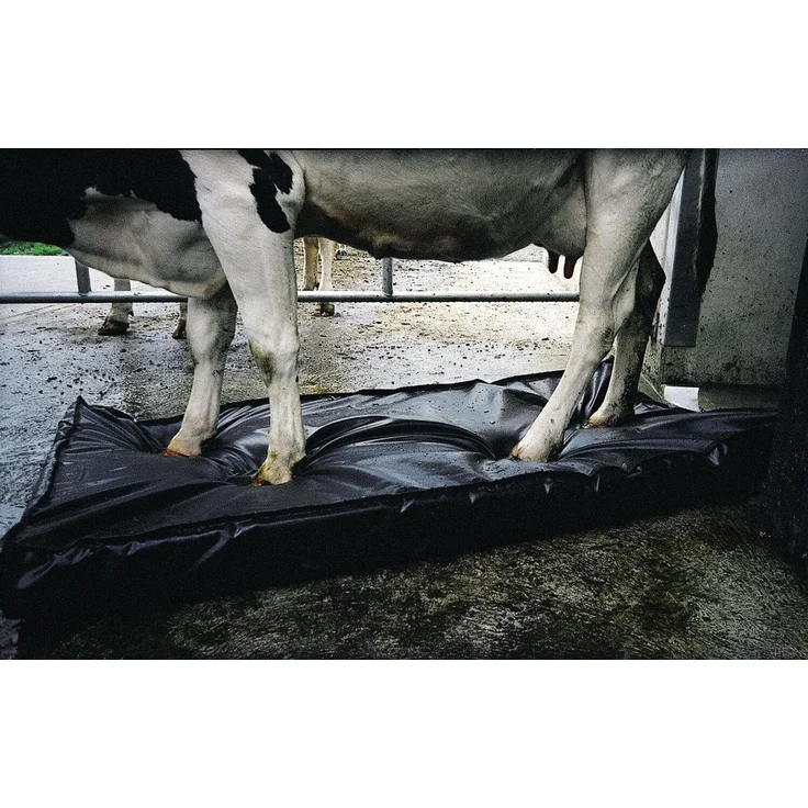 Septicare Desinfektionsmatte (180 cm x 90 cm x 10 cm) | 120 - 160 L – Bild 2