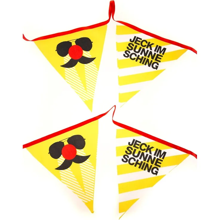 Wimpelkette Jeck im Sunnesching 6m
