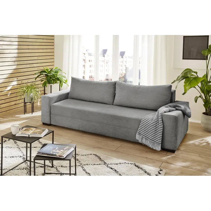 Trier Schlafsofas grau