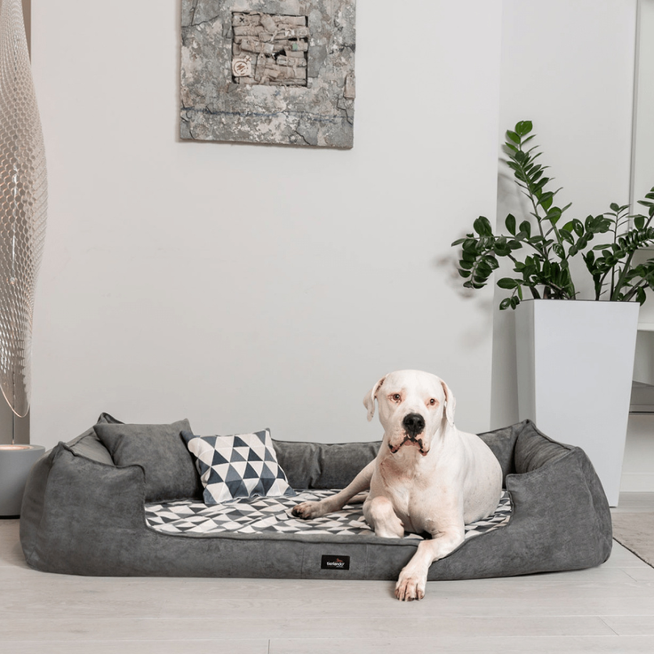 VELVET Samt Orthopädisches Hundebett - 130x100cm, 0205 Graphit-Creme – Bild 4