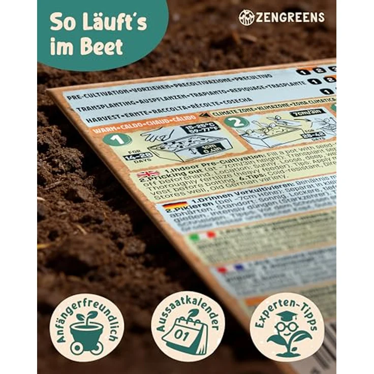 ZenGreens® - Bio Wintergemüsesamen im 10er Set - 10 Winter Gemüse Samen für den einfachen Anbau im Garten, Balkon oder Hochbeet - Pflanzensamen - Saatgut – Bild 9