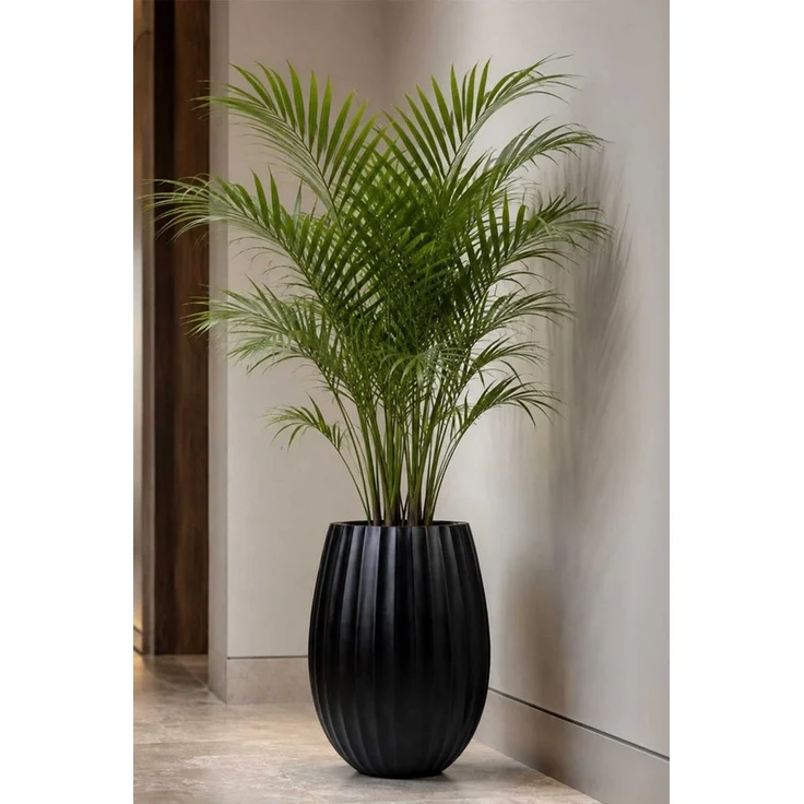 VIVANNO Blumentopf Fiberglas BALAO ARC Rund - Schwarz Matt (1 St), 39x50 cm – Bild 3