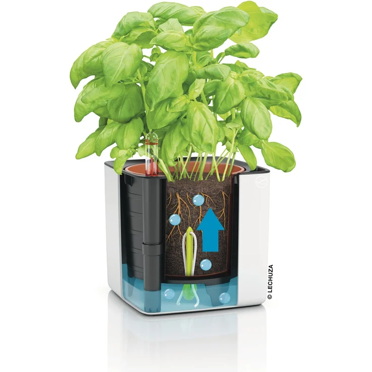LECHUZA-Tischgefäß CUBE Glossy CAT 14 Weiß Highgloss | Pflanzgefäß mit Bewässerungssystem, Wasserstandsanzeiger und Pflanzeinsatz | Hochglanz-Oberfläche mit Katzenmotiv | 14 x 14 x 13,5 cm | 13507 – Bild 5