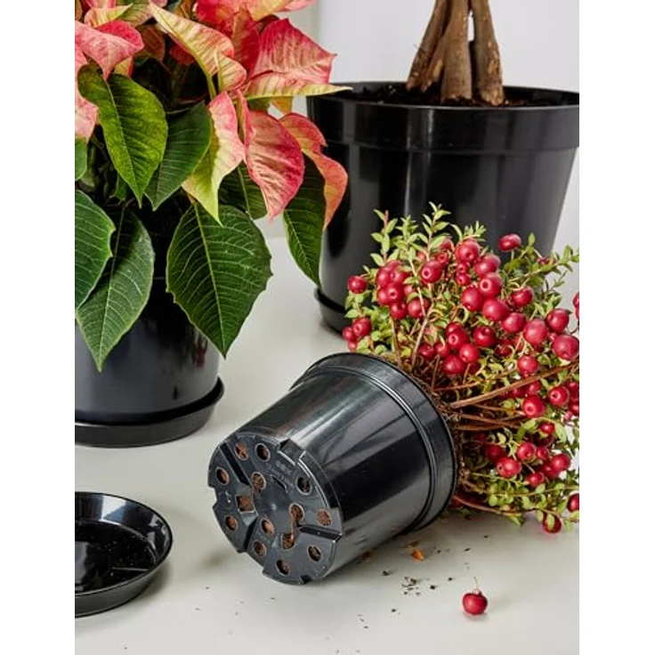 Garronda Blumentopf Kunststoff rund Pflanztopf Kräutertopf Anzuchttopf für Garten GD-0025 (1 St) – Bild 5