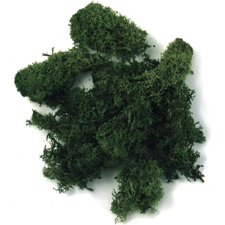 Islandmoos, SB-Btl. 30 g, d.grün (83,00 € pro 1 kg)