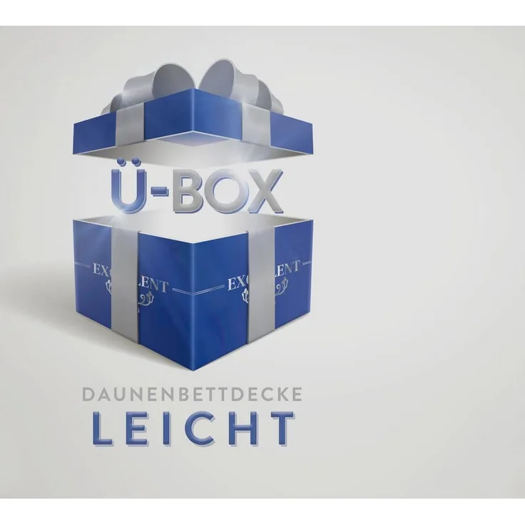 Excellent Daunenbettdecke Überraschungsbox, Füllung: 90% Daunen, 10% Federn, Bezug: Baumwolle, absoluter Sonderpreis, wegen Lagerräumung, Solange der Vorrat reicht