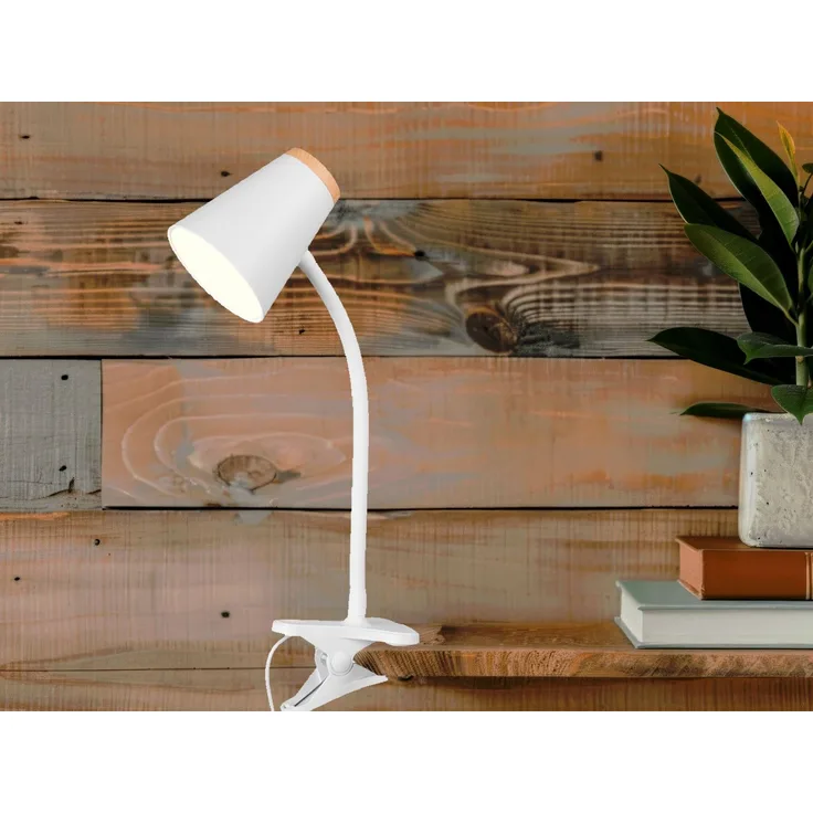TRIO Klemmleuchte LED R25831101