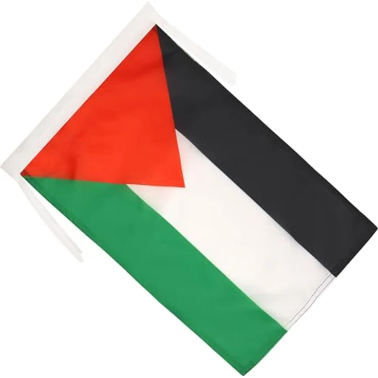 AZ FLAG - Flagge Palästina - 45x30 cm Mit Kordel - Palästinensische Fahne 30 x 45 Cm - Flaggen – Bild 2