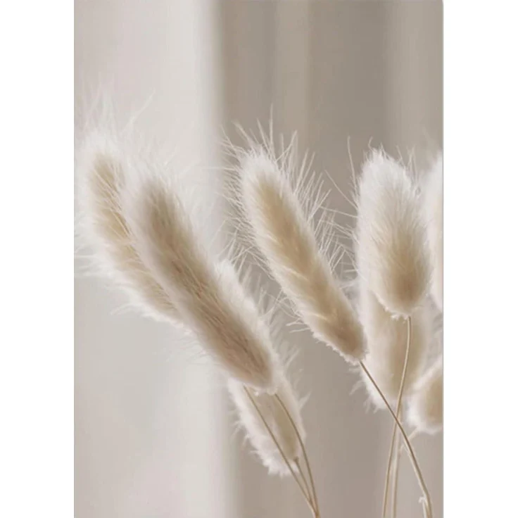 Poster 3er Schilf Pampasgras Boho Wohnzimmer B 21x30cm – Bild 7