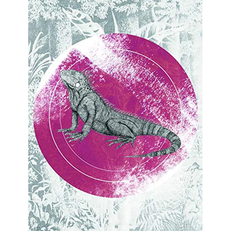 Komar Iguana Circle Wandbild | Poster, 30 x 40 cm, hochwertiger Kunstdruck auf fotopapier mit seidenmatter Oberfläche, dekorativ für Wohnzimmer und Schlafzimmer, ohne Rahmen – Bild 1