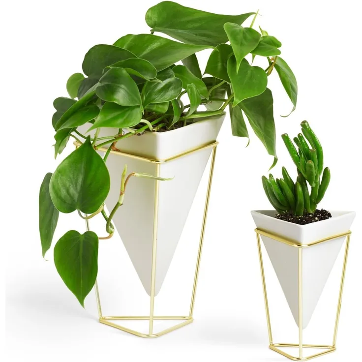Umbra Trigg Übertopf und Tischvase für Zimmerpflanzen, Sukkulenten, Luftpflanzen, Kakteen, Kunstpflanzen und Mehr, Weiss/Messing, Gross/Klein (2-er Set)