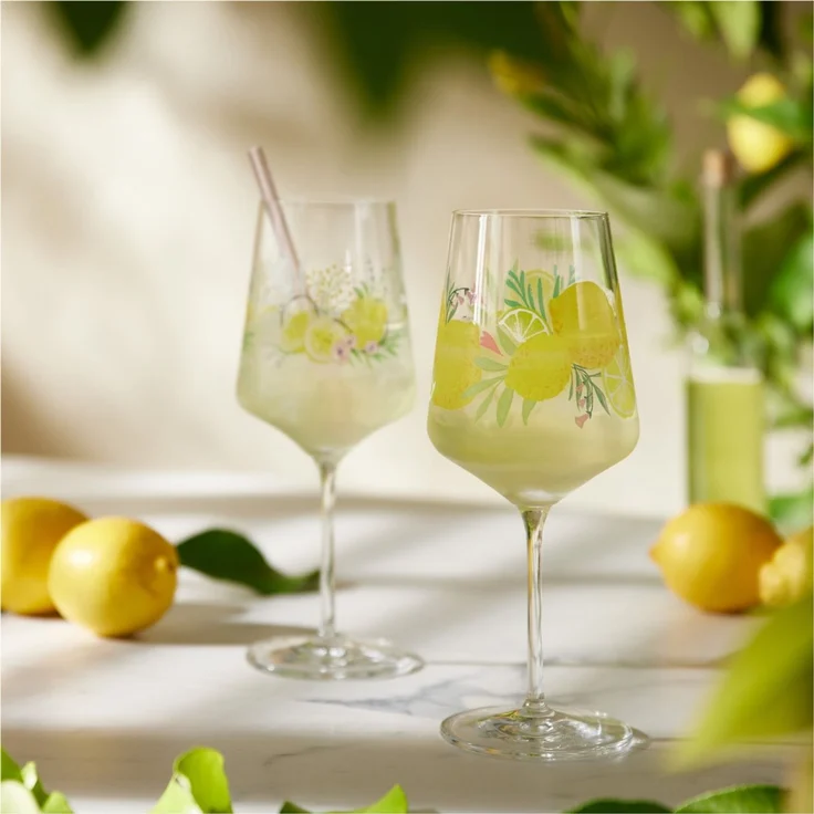 Ritzenhoff 2931020 Aperitifglas 2er Set #19, #20 SOMMERTAU Limoncello von A. Vasconcelos und C. Kordes 2024 in Geschenkbox – Bild 8