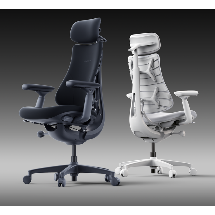 LiberNovo Omni Dynamic Ergonomischer Stuhl Space Grey 48 cm 1 Stück 