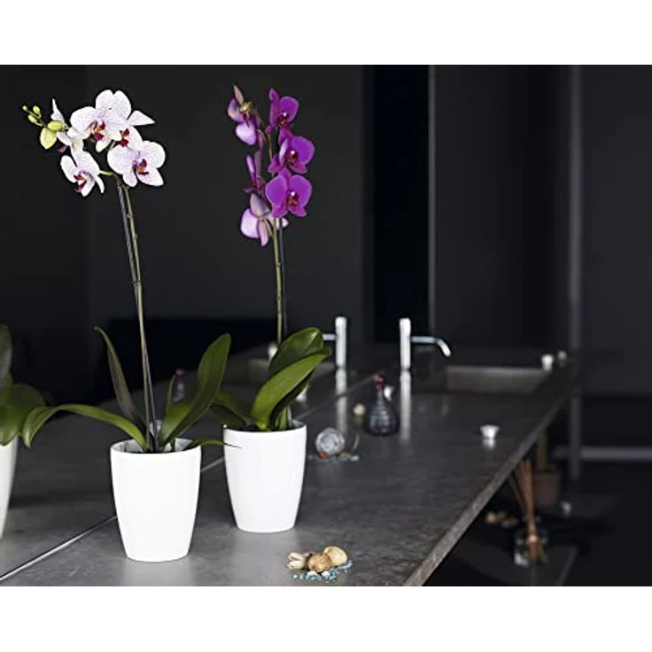 Artevasi Orchideentopf Fiji, Kunststofftopf für optimale Orchideenpflege, 12,5 x 15 cm, Weiß – Bild 2