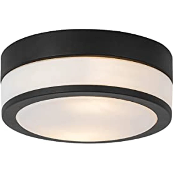 Qazqa Flavi, Moderne 2-flammige Bad- und Außen-Deckenleuchte, schwarz, IP44, E27, dimmbar, Stahl rund – Bild 1