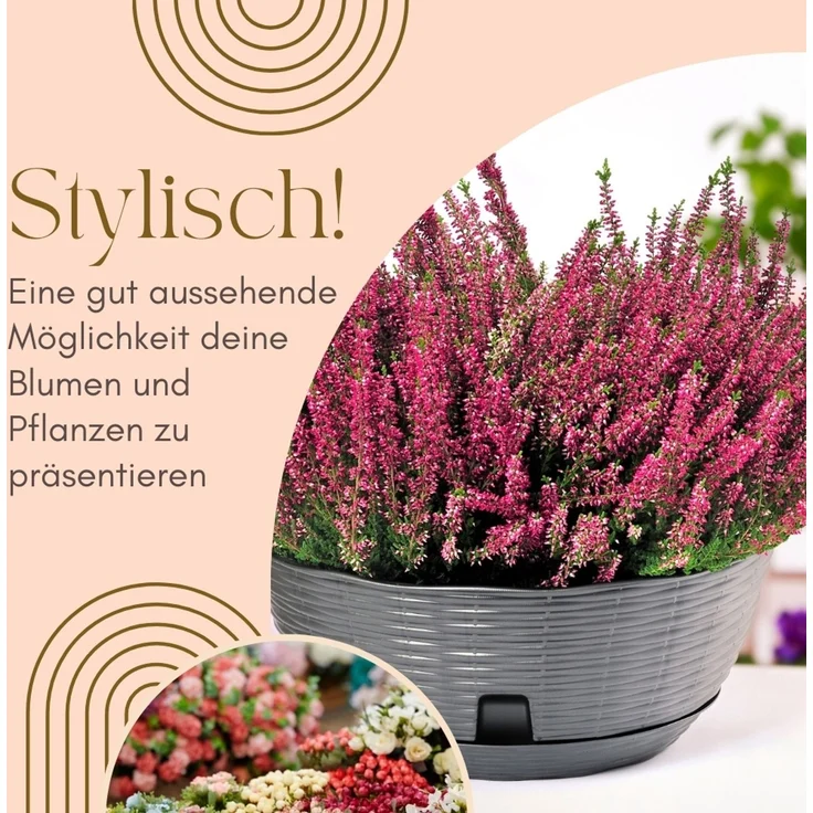 GarPet Blumenampel 2x Blumenampel Blumentopf hängend inkl. Kette Wandhalterung anthrazit – Bild 3