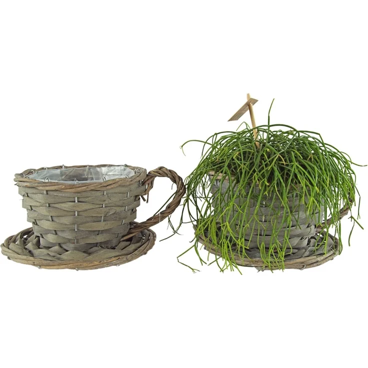 2er Set Natürliche Pflanztasse ca. 11 cm - Gartendekoration – Bild 1