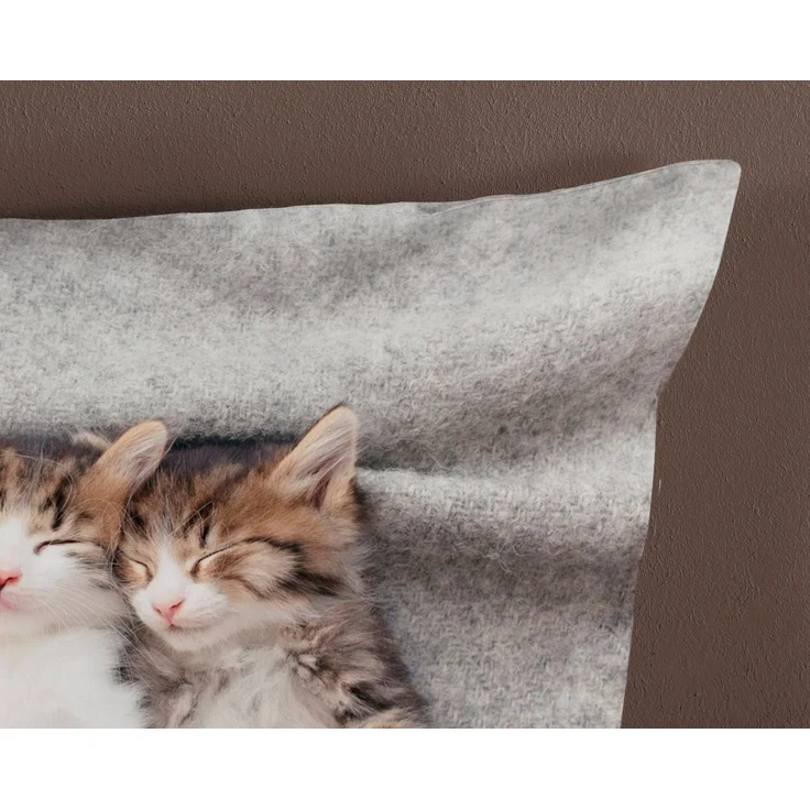 Pure Microfaser Bettwäsche 135 X 200 cm + 1- 80 X 80 cm Snooze kitten cats grau – Bild 3