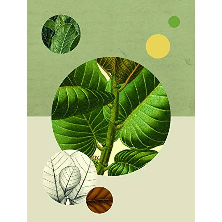 Komar Green Structure Wandbild, Poster auf Premium-Photopapier, 30 x 40 cm, fotorealistische Druckqualität, ohne Rahmen