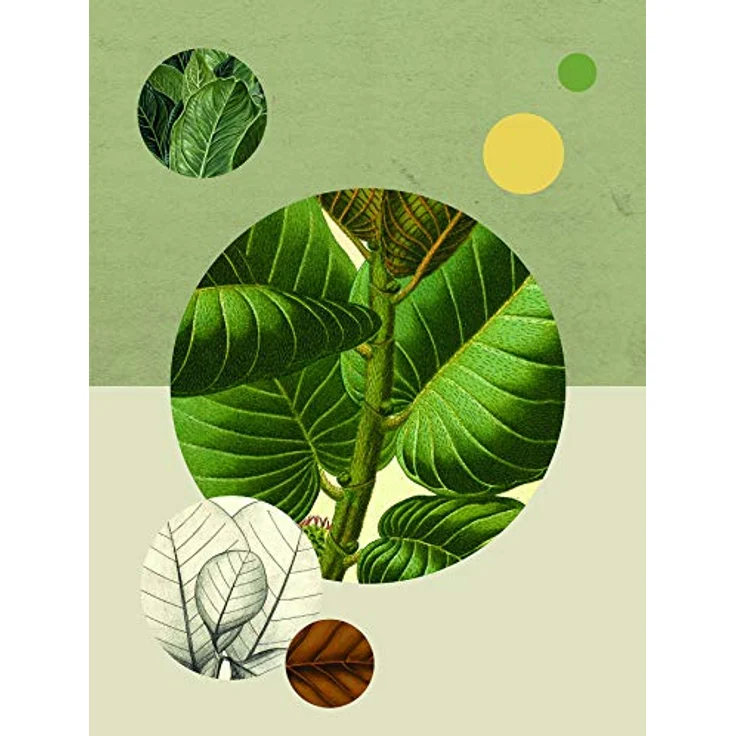 Komar Green Structure Wandbild, Poster auf Premium-Photopapier, 30 x 40 cm, fotorealistische Druckqualität, ohne Rahmen – Bild 1